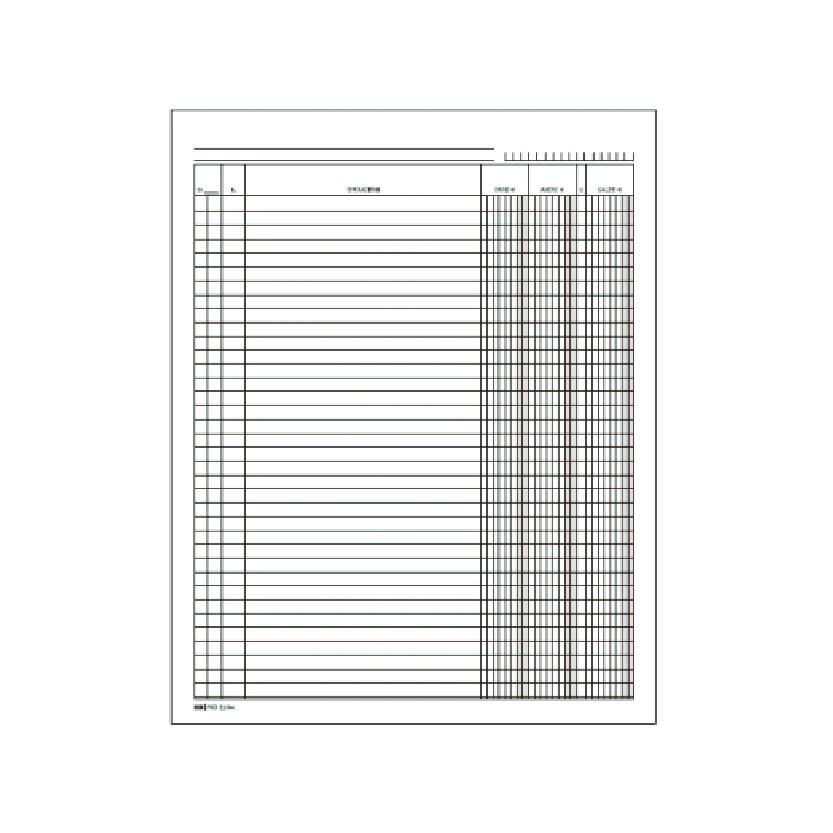 REGISTRO_DARE_AVERE_SALDO_24X17_100FG